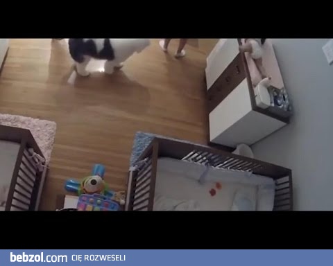 9 letni chlopiec ratuje brata