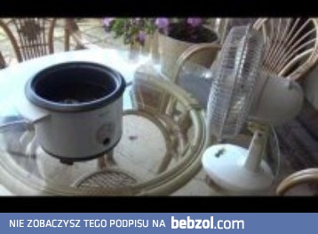 Domowy sposób produkcji oleju z marihuany w celach medycznych