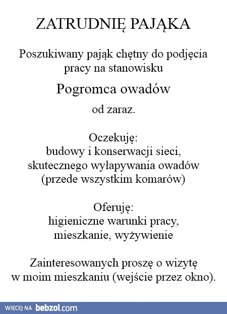 Zatrudnię pająka!