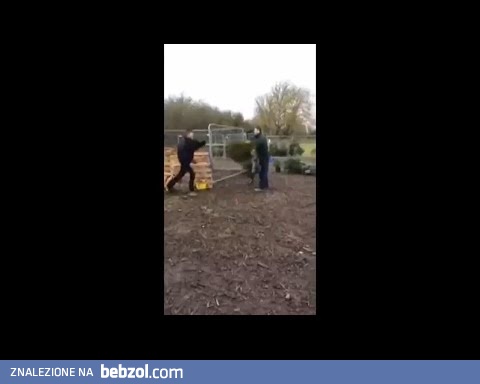 Sprzedaż choinek ruszyła pełną parą....