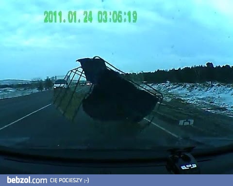 Niespodzianka na drodze