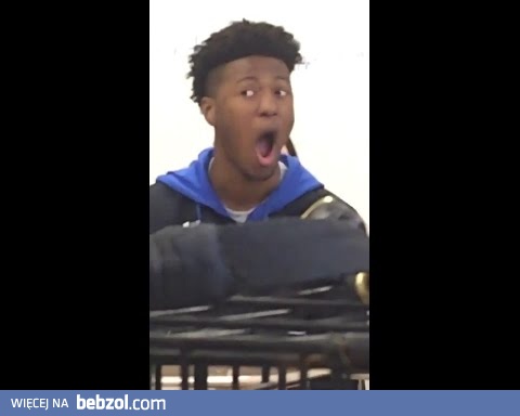 Dzika przyroda w szkole