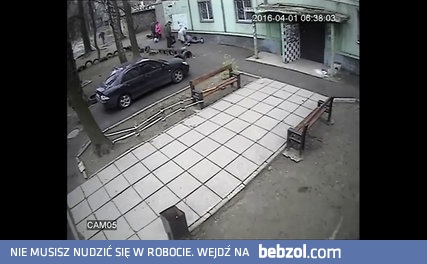 Człowiek ratuje życie swojemu psu