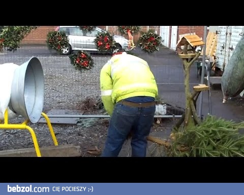 Żarcik przy pakowaniu choinek