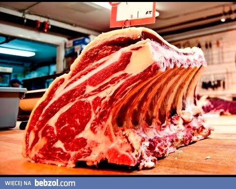 Mistrzowie w swoim fachu 