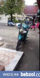 Psia mama żebrze o jedzenie by nakarmić swoje szczeniaki