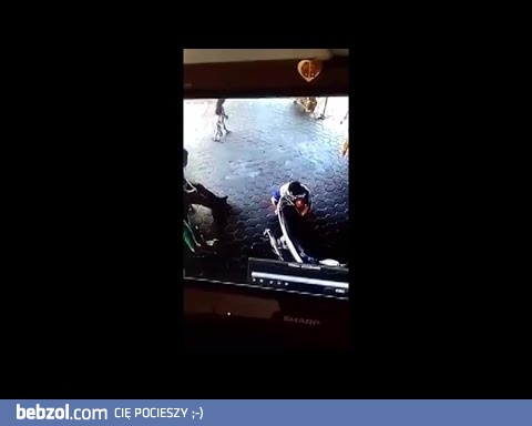 Niesamowity refleks Wietnamczyka