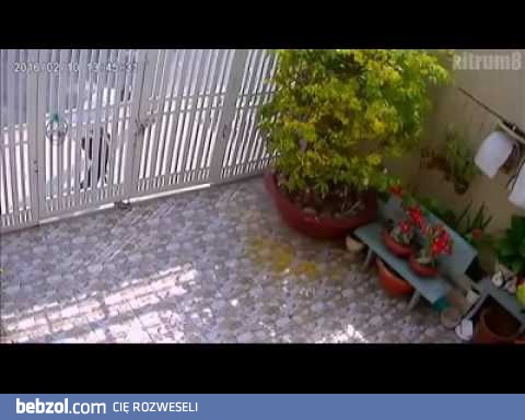 Włamywacz trafił na ciężką bramę