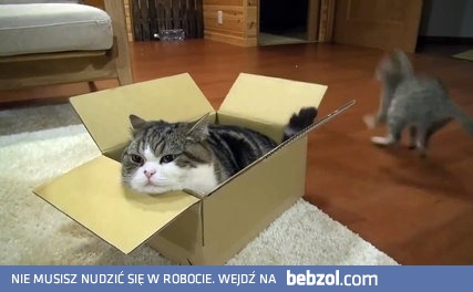 Kiedy zostawili cię z młodszym bratem