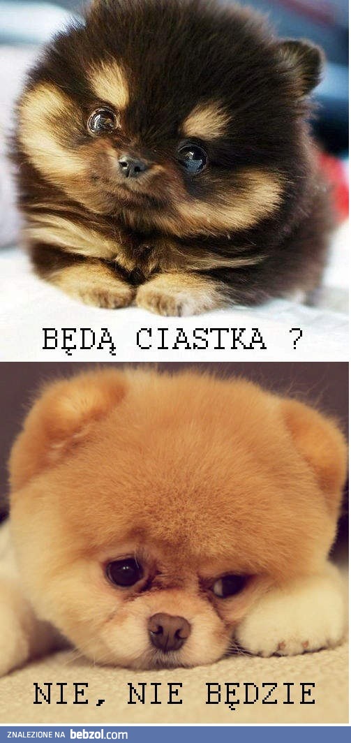 Będą ciastka?