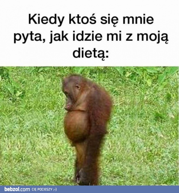 Kiedy ktoś się pyta...