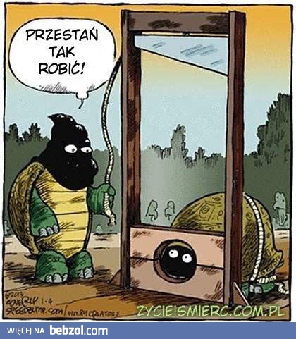 Egzekucja żółwia