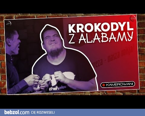 Krokodyl z Alabamy :D