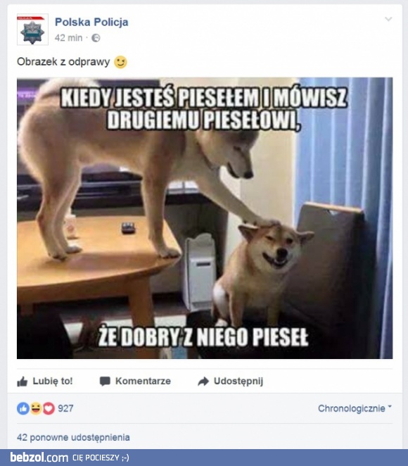 Polska Policja to niezłe śmieszki