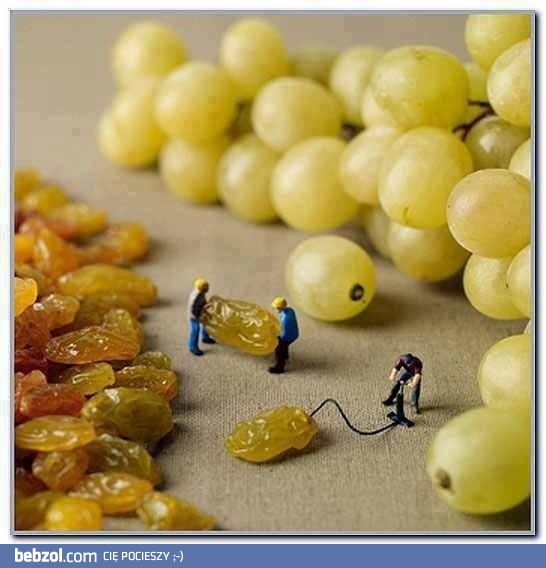 Jak się robi winogrona?