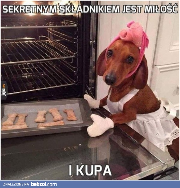 Psi kucharz