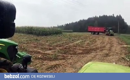 Niespodzianka w polu