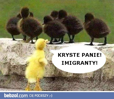 Imigranty 