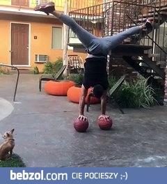 Kto zrobił to lepiej?