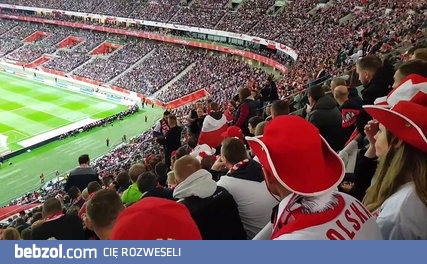 Bójka kibiców na meczu Polska Czarnogóra