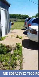 Jak złapać susła w mniej niż 2 minuty