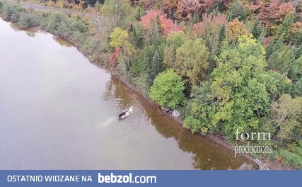 Latając dronem przypadkowo nakręcił walkę wilka z łosiem