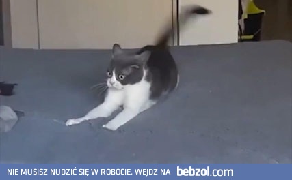 Wspomnienia powracają w najmniej spodziewanych momentach