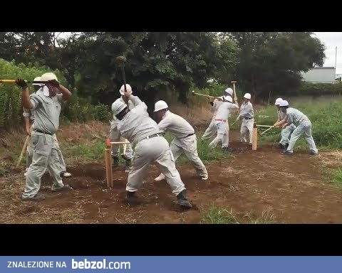 Mistrzowie w swojej dziedzinie