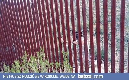 Jak pokonać mur na granicy USA z Meksykiem