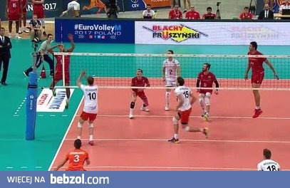 Dacewicz bohaterem jednej z akcji. 