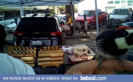 Dzięcioł też może być śmiesznym pieskiem