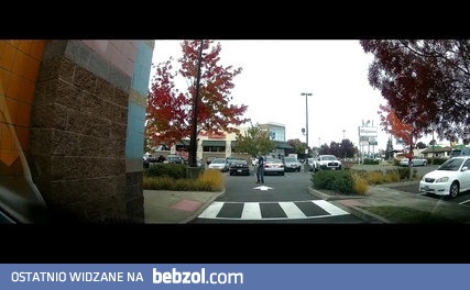 Zostawił papugę kakadu ma drzewie i poszedł na zakupy