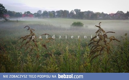 SONY Xperia XZ Premium. Możliwości wideo. 4k, super slow mo