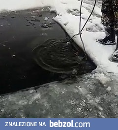 Niespodziewane znalezisko