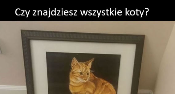 Czy znajdziesz wszystkie poukrywane koty?