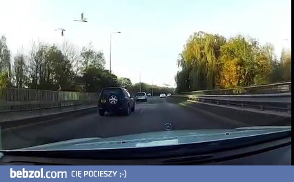 Awaryjne lądowanie na ruchliwej drodze