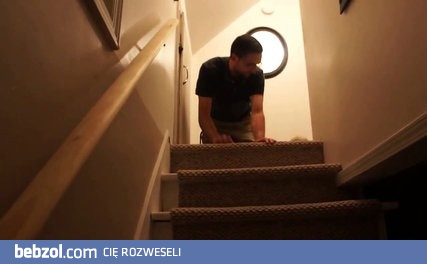 Jak nauczyć szczeniaka schodzić po schodach