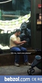 Gdy twój goryl wybiera ci laski na Tinderze