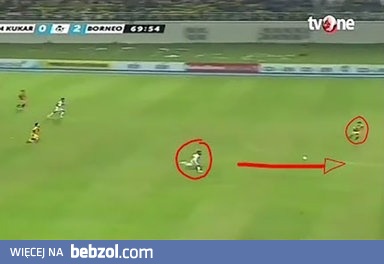 struś pędziwiatr i indyk