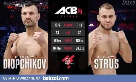 Strus wraca z dalekiej podróży 