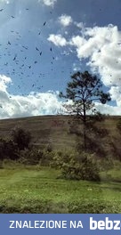 Zabawa zwolnionym tempem podczas jazdy