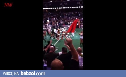 Kobiety też potrafią, czyli bójka w LFL