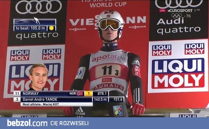 Nietypowe zachowanie Norwega na belce