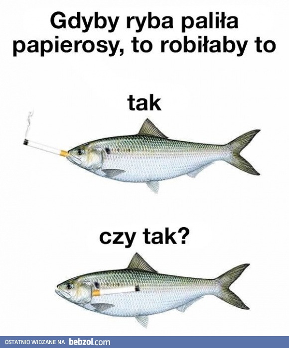 Ryby i fajki