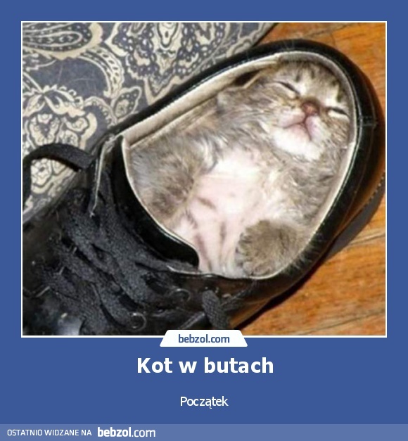 Kot w butach