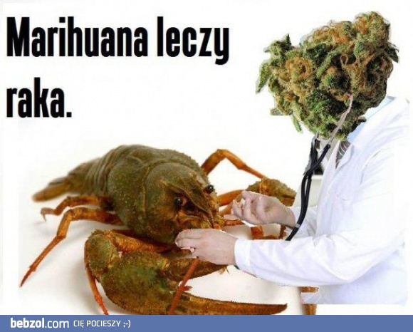 Marihuana leczy raka