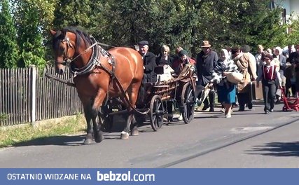 Kręcą film, aż tu nagle...