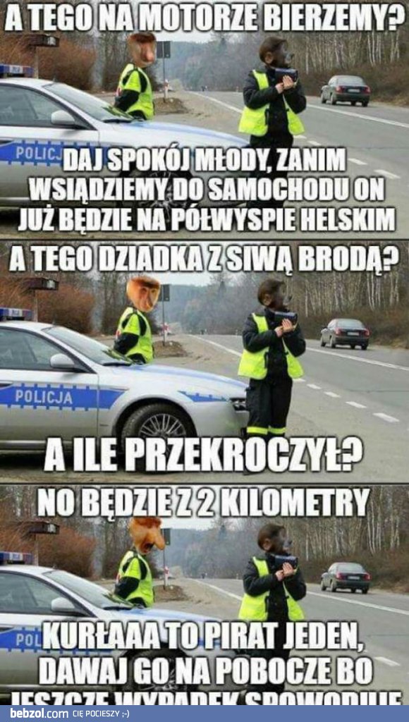 Polska policja taka jest