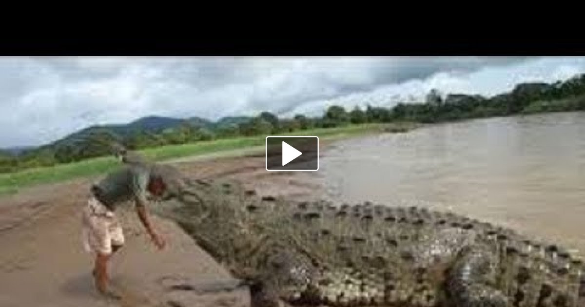 Shaman Eaten By Crocodile