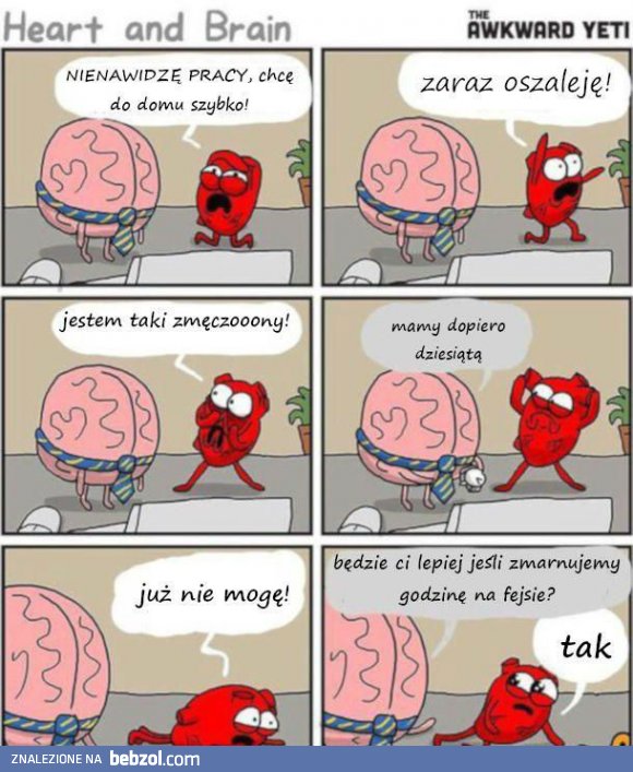 Serce i mózg 